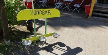 På torsdagar, under sommarmånaderna, anordnar vi Hela Laxön sjunger.