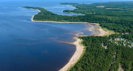 Här finns även stränder med klappersten och djupare vatten. Längst ut på udden där Dalälven rinner ut i havet finns vårt populära hundbad.