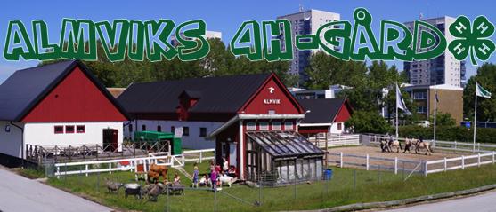 4H är en barn- och ungdomsförening som är religiöst och partipolitiskt obunden.