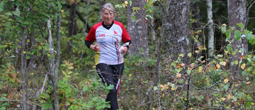 Utveckling av klubben och oss själva Anmäl dig till utvecklingsdagen 12 nov Boka in söndagen den 12 november för en dag där vi tillsammans arbetar med att inte bara utveckla klubben VSOK till en