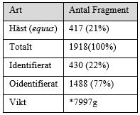 Tabell 5: Sammanfattande tabell för analys av Grav 497.*Observera att värdet avser totalvikt på de delar av gravarna som vid tidigare analys (Åkesson,1999) bedömts tillhöra häst.