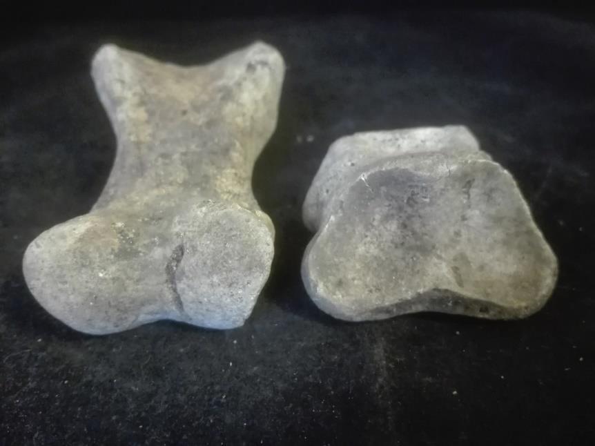Figur 13: Två tydliga fåror i på ledytorna mellan falang I och II (falangs I