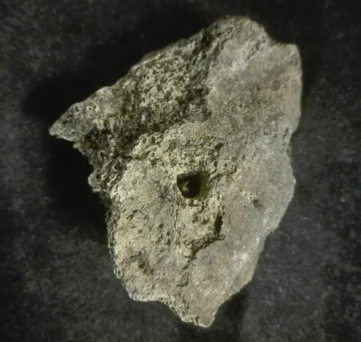 Figur 15: Hålighet på fragment av bäckenbenet (coxae)