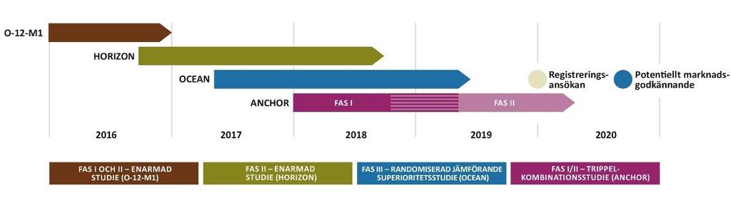 Den kliniska utvecklingsplanen Vi kommer att genomföra tre kliniska studier för att karaktärisera Ygalo i multi-refraktära multipelt myelompatienter: OCEAN, HORIZON och ANCHOR.