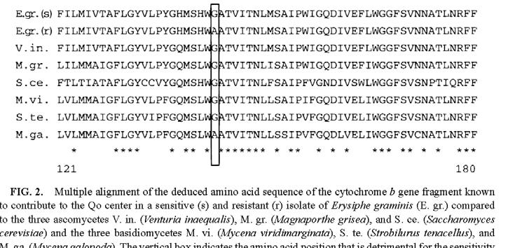 Pesticidresistens genetisk resistens Normalt DNA producerar ett normalt enzym