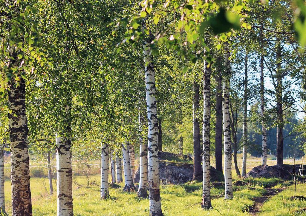 MÄNNISKORNAS VÄLMÅENDE - Hälsa och innovationer - Långsiktigt kollektivt