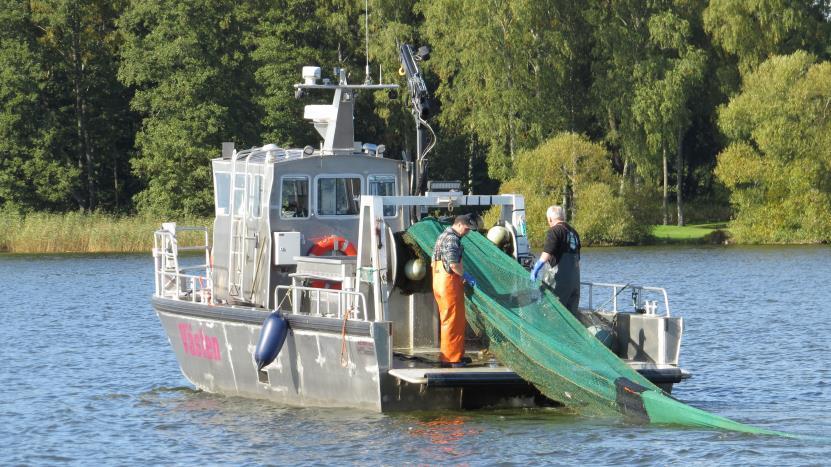 årsstämmorna, och intresset och engagemanget från medlemmarna är stort och positivt. 4.5 Utrustning och utförare Trålar hyrdes från Växjö kommun för fisket åren 2010 och 2011.