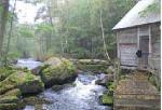 livsmiljö
