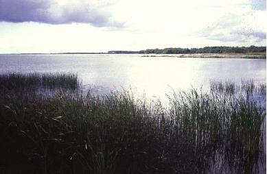 m. Vattenkvalitet