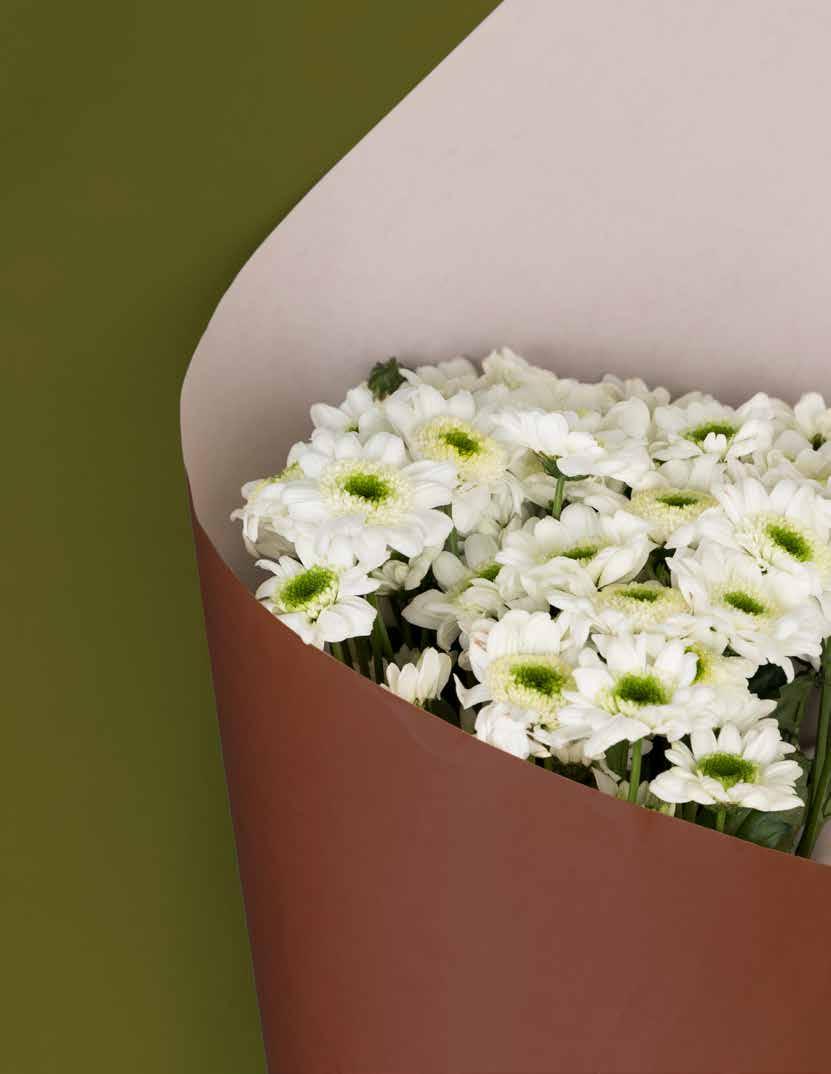 6001018 Blomsterpapper 2-lags olivgrön 6001019 Blomsterpapper 3-lags olivgrön