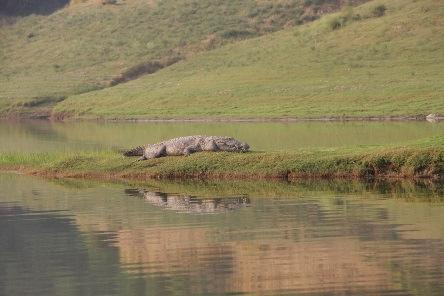 västerlänningar hittar. Chambal är vida känd i Indien för kamel- och hästmarknader. Här på den Indiska landsbygden blir dina möten garanterat genuina och upplevelserna unika.