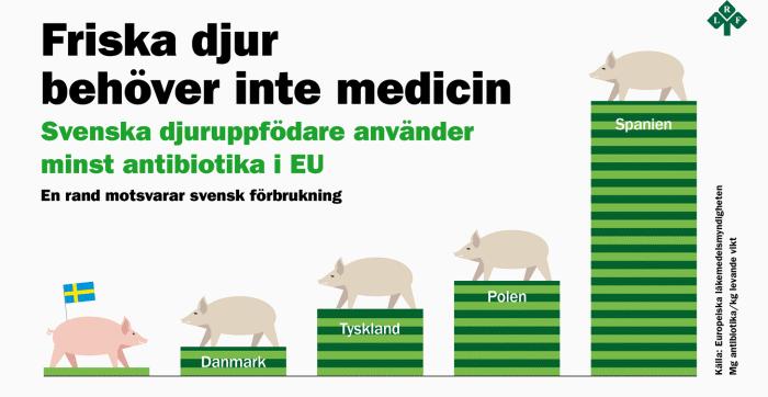 Antibiotika i djurhållningen 70% av all antibiotika som tillverkas i världen ges
