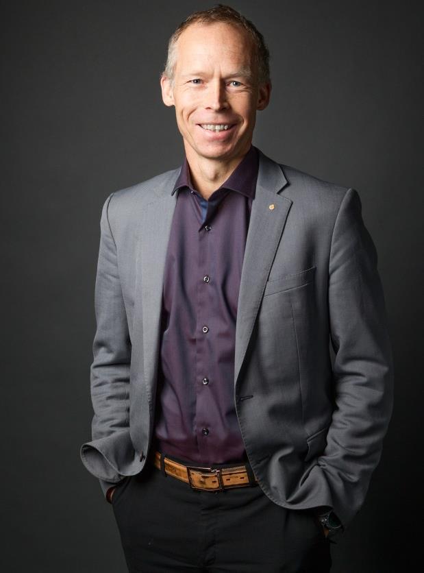 Professor i