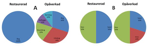 För dominerande bottensubstrat, som täckte minst 50 % av ytan, var det liknande förhållanden med en lite mindre andel sand på opåverkade sträckor (Figur 4B).
