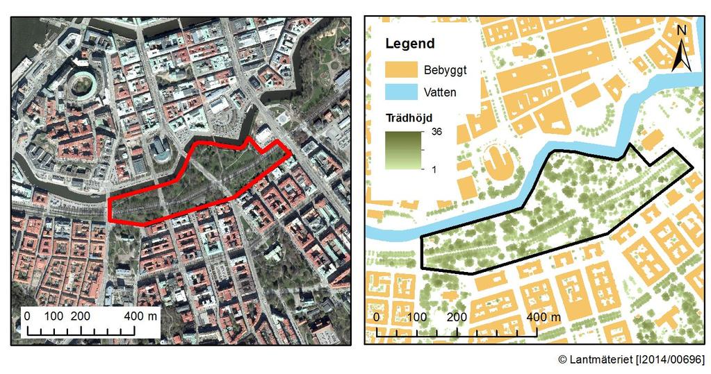 Fallstudieområde Kungsparken Allmän beskrivning och motivering till val av område Kungsparken är en gammal stadspark som anlades i mitten av 1800-talet.