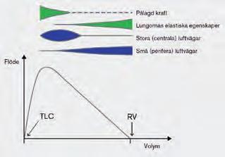 genom en forcerad manöver efter full inandning, vilket inte avspeglar hur en individ andas normalt.