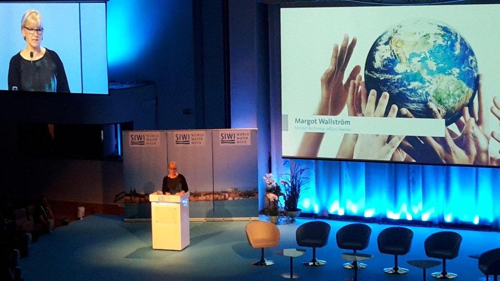 GWP-Med GWPMed @ 29. augusti Swedish Foreign Affairs Min.