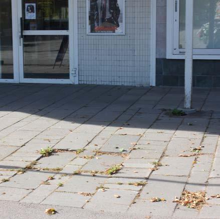 För persoer med edsatt rörelseförmåga utgör dock cetrums markbeläggig ett hider eftersom sättigar i plattläggige och uppstickade bruslock utgör subbelkater.