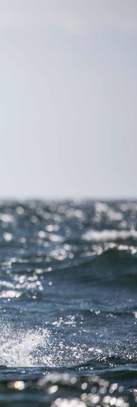 Innehåll Ledare... 5 VM-guld till Max Salminen... 6 Två 470-medaljer... 7 Vision för framtiden... 8 Swe Sailing Team... 9 Allsvenskan... 10 Kappseglingar i Sverige...12 Kitesurfing och Parasegling.