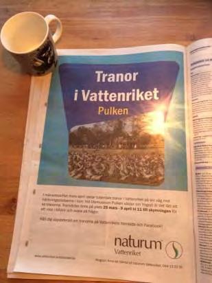 HUVUDMAN KRISTIANSTADS KOMMUN 12(30) VINTER I VATTENRIKET 1/1-1/3 TRANOR OCH ANDRA VÅRTECKEN 1/3-9/4 ARTRIKA VATTENRIKET 10/4-18/6 SOMMAR I VATTENRIKET 19/6-20/8 SMAKA PÅ VATTENRIKET 21/8-31/10