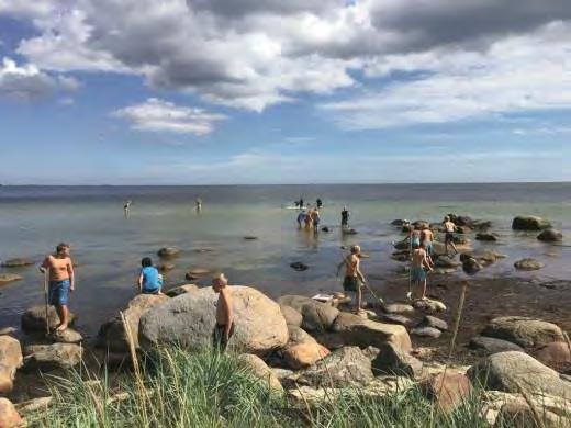HUVUDMAN KRISTIANSTADS KOMMUN 26(30) Jamboree 17 Under eftermiddagen den 10 augusti hade vi minst 500 scouter i olika åldrar som håvade, snorklade, testade vadarbyxor och förundrades över den