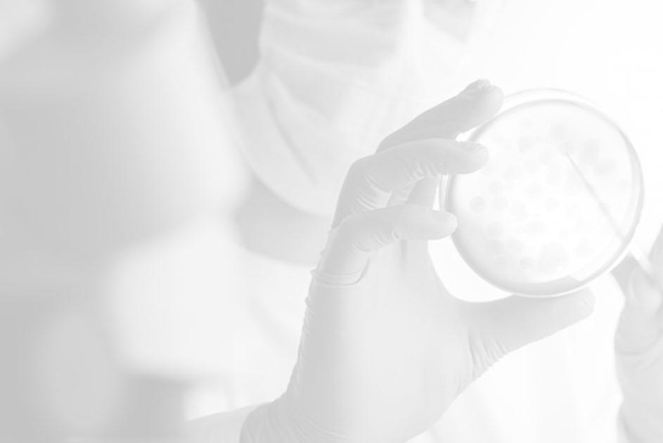 Innehållsförteckning VDs kommentar 3 Väsentliga händelser under fjärde kvartalet 2017 4 Väsentliga händelser efter fjärde kvartalet 2017 6 Aktien och ägarstruktur 8 Biotech-IgG Equity