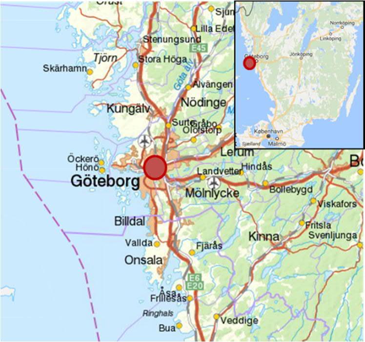 Till Gothenburg RORO Terminal anlöper regelbundet fartyg från tre destinationer, totalt 18 anlöp per vecka.