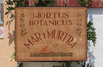 ERIC SVENTENIUS Figur 4. Hortus Botanicus Marimurtra i Blanes i Spanien. Erik Svensson anlitades 1934 av trädgårdens grundare, Karl Faust, för att anlägga trädgårdens suckulentplanteringar.