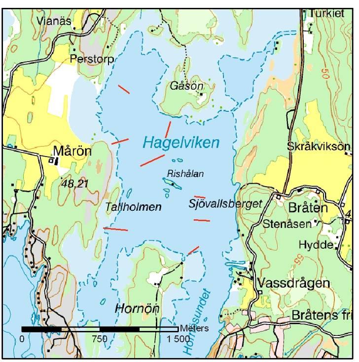 Typvikar Vänern sida 16 2010-11-26 Transekterna, särskilt i vikens östra och norra delar ger en indikation på de täta vassar som finns längs stränderna i viken.