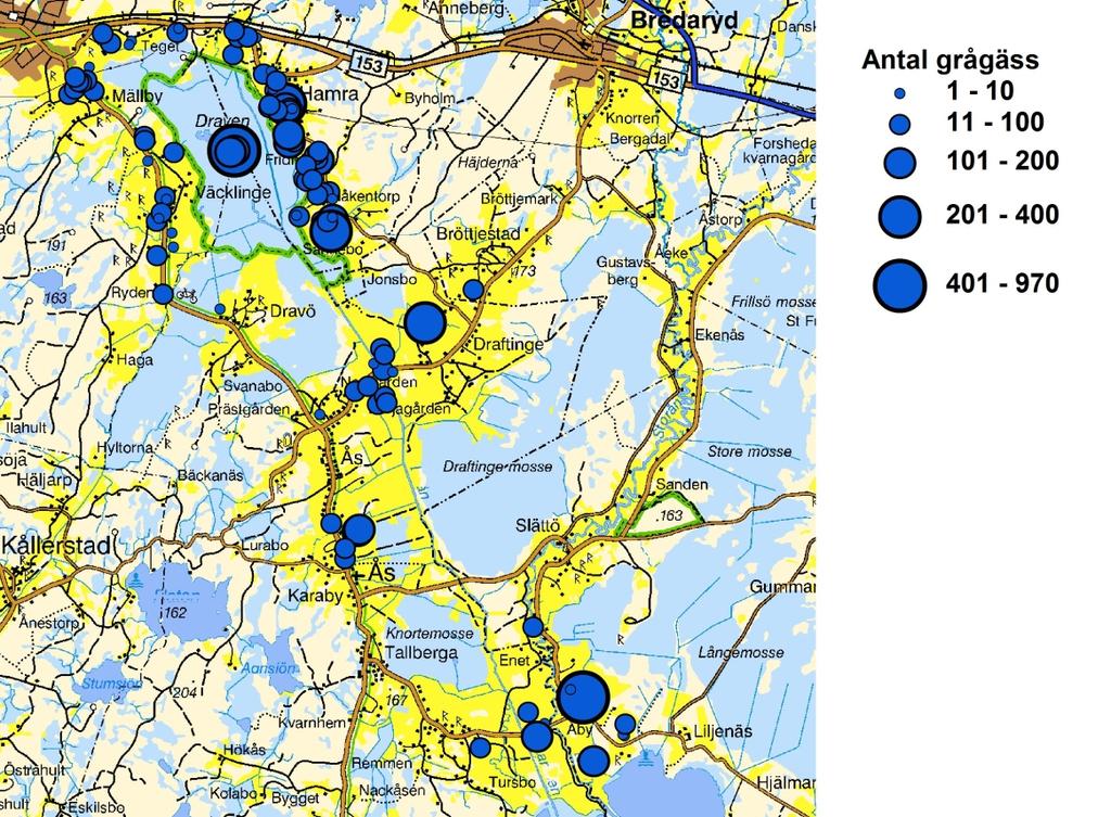 8 INVENTERING AV TRANOR OCH GRÅGÄSS 2008 Fi gur 6: Ge og ra fisk fördelning av observe ra de grågäss un der inventeringsperioden Även kanadagäss förekommer i området men dessa är få jämfört med grå