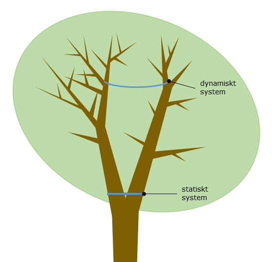 Kronstabilisering Definition/Mål: system som installeras i trädkronan för att förhindra okontrollerat stam- eller grenbrott vid extrema rörelser (SS 990000:2014) Utmaningar: - brist på kunskap
