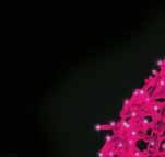 DEKORATION SNOW BALL W