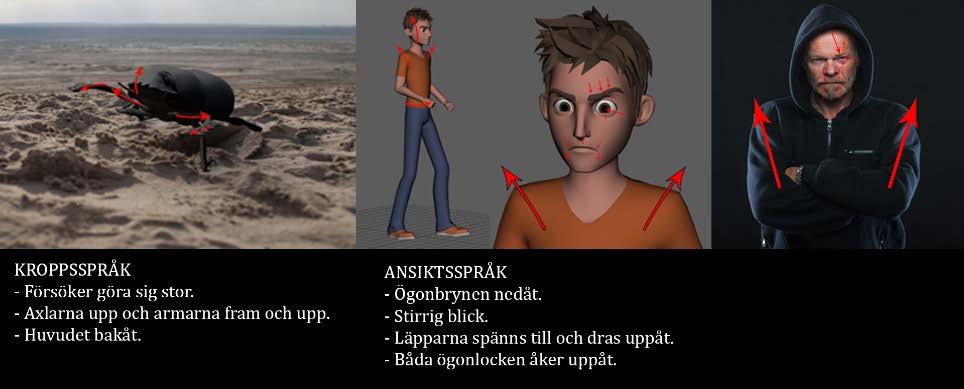 6. Slutsats 6.1 Visuella förslag på mänskliga känslor i icke-mänskliga varelser 6.1.1 Visuella förslag på mänskliga känslor i icke-mänskliga varelser Ilska Bild 17 Jämförelsebild, ilska.