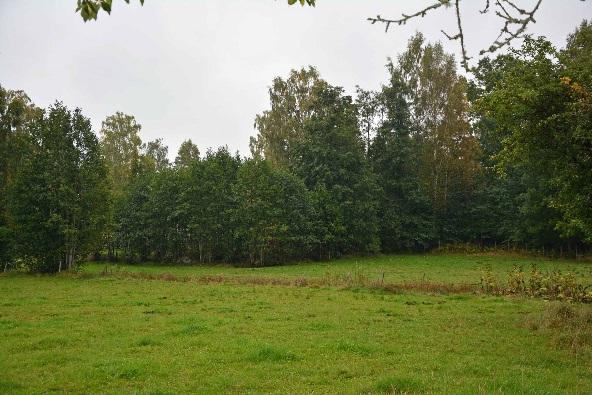 Enligt planen beräknas 1 års tillväxt till 143 m³sk vilket motsvarar 4,6 m³sk/ha.