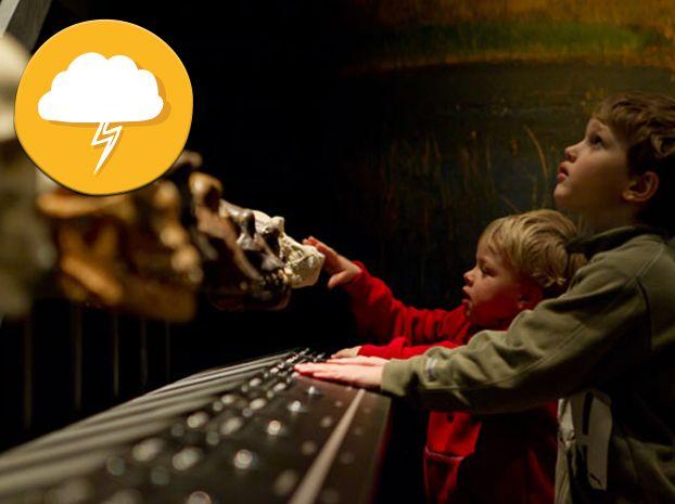 Fortbildningskväll på Naturhistoriska riksmuseet Vi bjuder in till utbildningskväll för dig som är nyfiken på hur man kan använda museiutställningar i pedagogiskt syfte.