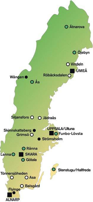 Mål Målet är att skapa ett beslutsstöd (Decision Support System, DSS) för odling av majs, baserat på sortval och riskmanagement Mekanistisk tillväxtmodell + multivariat modell för foderkvalitet