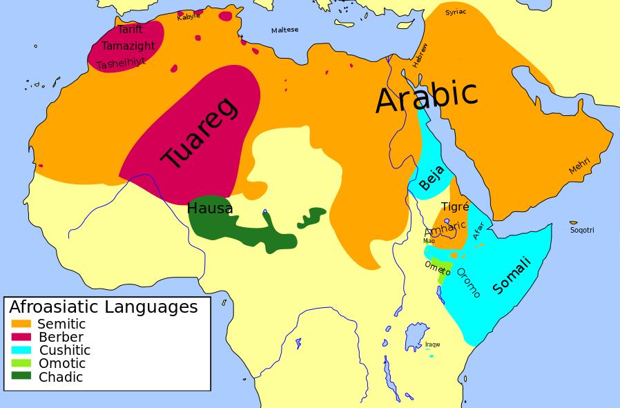 Ett afro-asiatiskt språk Kusjitiska: Oromo, Somaliska, Sidamo, Afar Semitiska: Arabiska, Hebreiska, Amhariska,