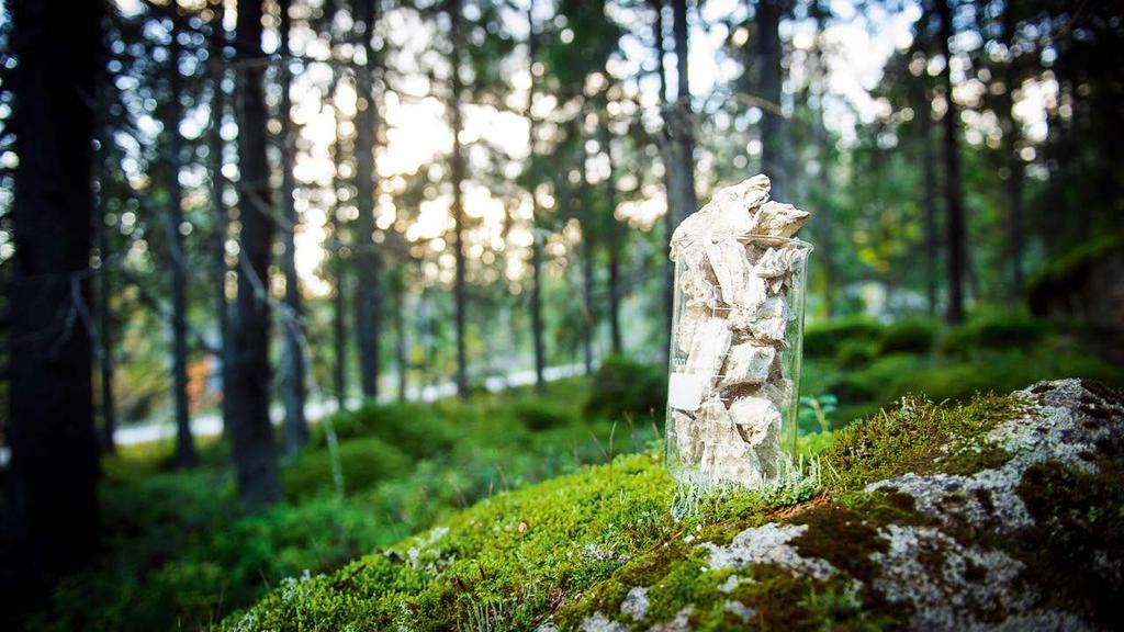 PROJEKT SINGLE CELL är inte längre singel Det som började med en idé att med hjälp av fermentering av en restström från ett bioraffinaderi eller massabruk kunna producera single cell protein,