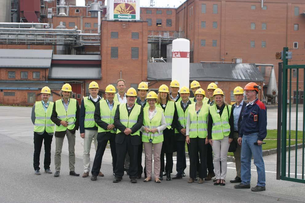 Syftet med projektet är att kartlägga den infrastruktur i form av pilot- och demonstrationsanläggningar som finns inom såväl konsortiet som i övriga Europa när det gäller att processa olika typer av