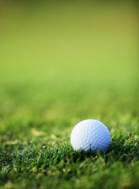 Golf godkänns som friskvårdsbidrag Golf godkänns som friskvårdsbidrag En historisk dom från Högsta förvaltningsdomstolen (HFD) den 12 januari 2018, följt av en tolkning från Skatteverket tre dagar