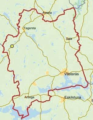 Pärlbräkenväxter,
