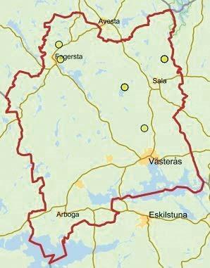 Granbräken