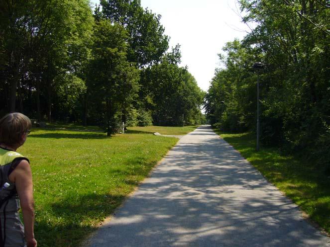 1. Vegetationen i förhållande till utemiljön i stort Att ha nära till tät vegetation på båda sidor upplevs som otryggt Visst avstånd till vegetation eller öppet på ena sidan upplevs som