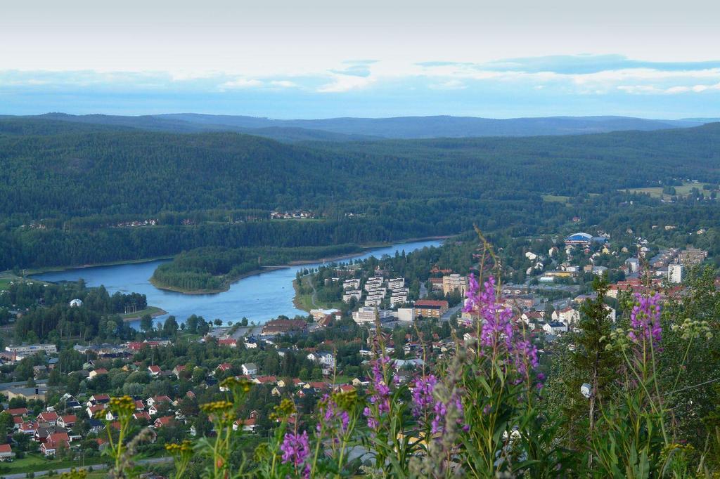 Sollefteå Ådalens pärla!