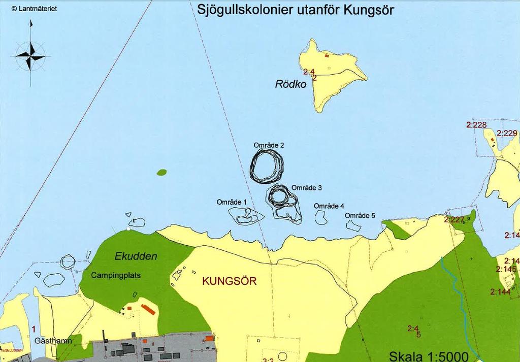 Rapportskrivning- Sjögullsbekämpning, Etapp 3 Kungsörs kommun har i flera tidigare projekt arbetat med att hitta metoder för att hindra spridningen av den främmande vattenväxten sjögull.