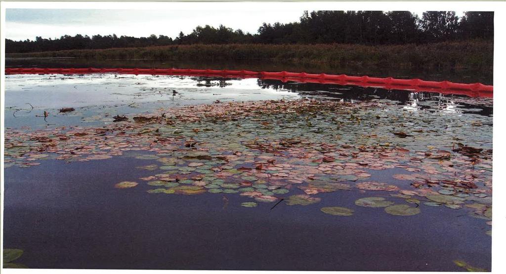 Åtgärd 2 Bekämpning med ogräsättika PVC duk och täckning med plast och armeringsnät har varit placerade i kanterna på område 2 och 3 så att en fri passage för båtar skapades mellan bestånden.