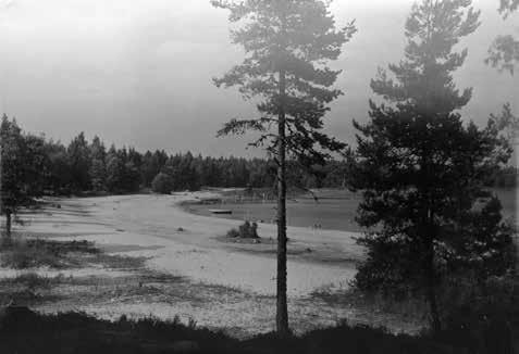Kulturhistorisk byggnadsinventering nr 54 Melleruds tätort med närområdet mot Vänern 129 Från fattigmark till fritid Stranden Vita Sannar. Foto : Vänersborgs Museum. Fritidsstugor i Vita Sannar 1981.