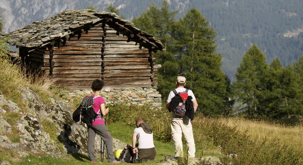 Dag 7 Sjätte vandringen (F, M) Dagens vandring blir en lättare tur i terrängen runt Champoluc. Vi njuter av den härliga utsikten och stannar till vid en ombonad fjällstuga för lunch.