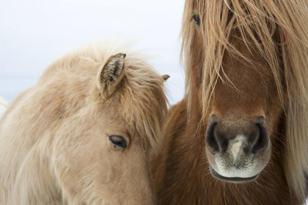 Den 21 februari genomfördes en pilotversion av fritidsturledarutbildningen i Kristianstad.