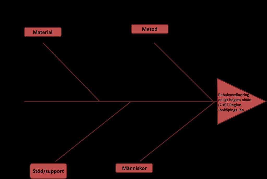 Bilaga 3 Fiskbensdiagram över